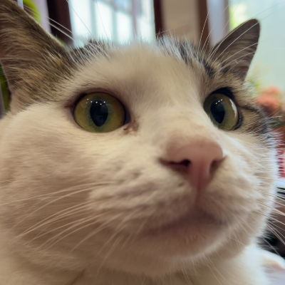 Improved Training Technique for Shortcut Models